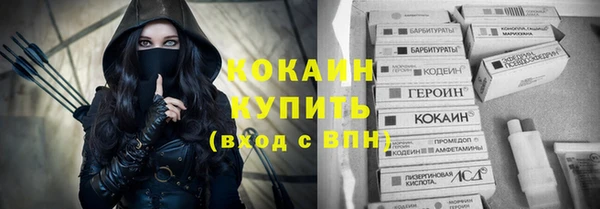 прущие грибы Абаза