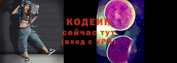 прущие грибы Абаза