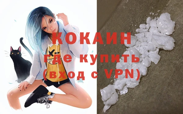 прущие грибы Абаза