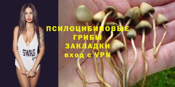 прущие грибы Абаза