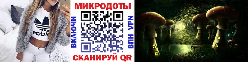 где можно купить наркотик  Чебаркуль  OMG онион  Псилоцибиновые грибы Psilocybe 